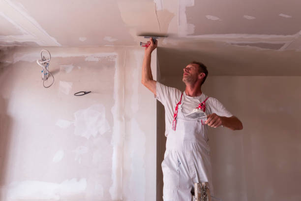 Best Water-Damaged Drywall Repair  in Chalfont, PA